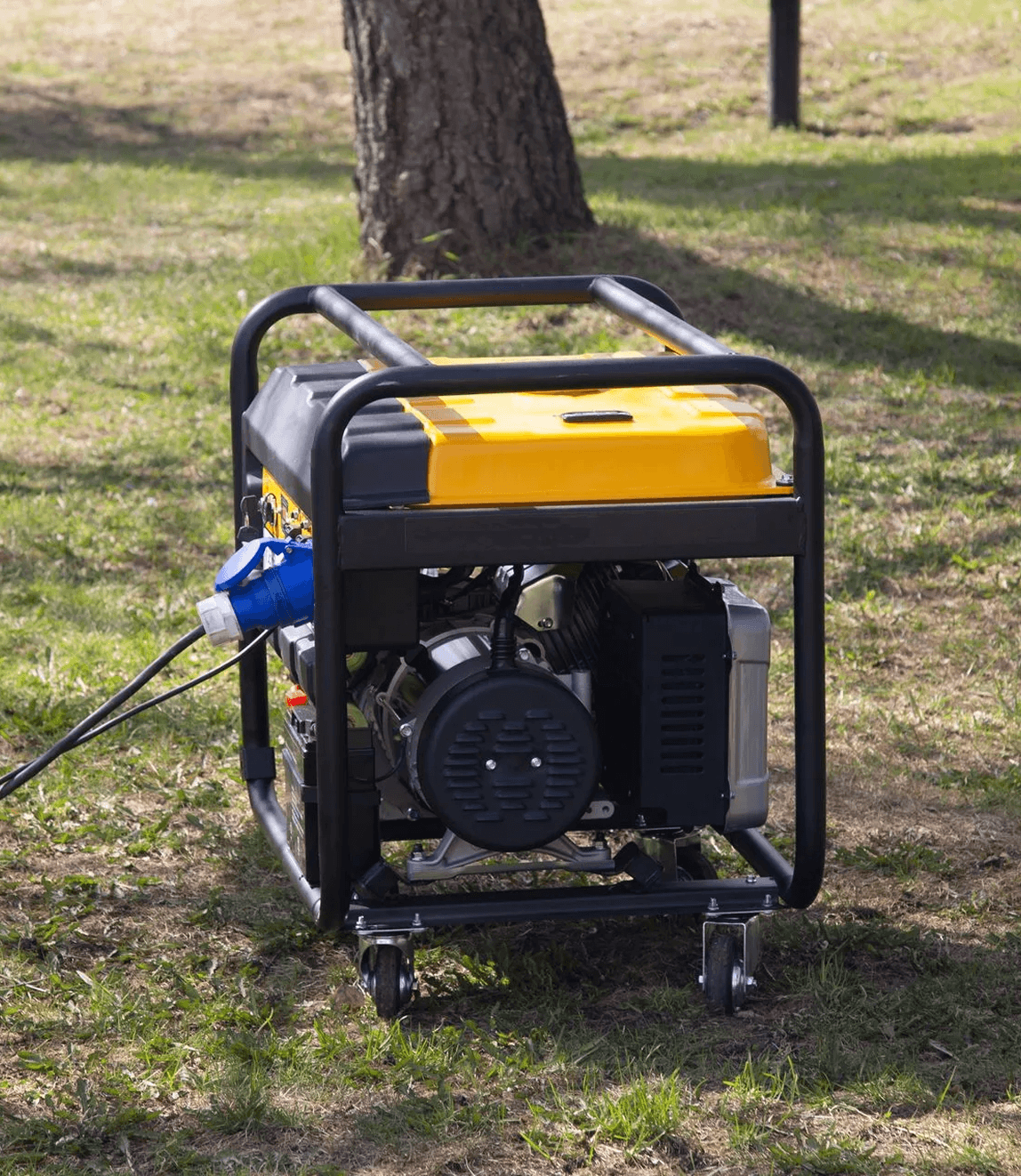 Portable generator on grass near tree.